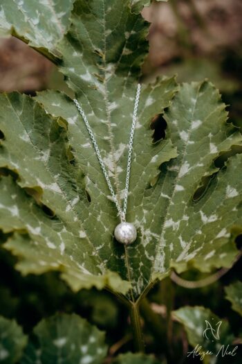 Bola de grossesse – Image 3